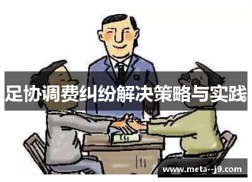 足协调费纠纷解决策略与实践 足协调费纠纷解决策略与实践