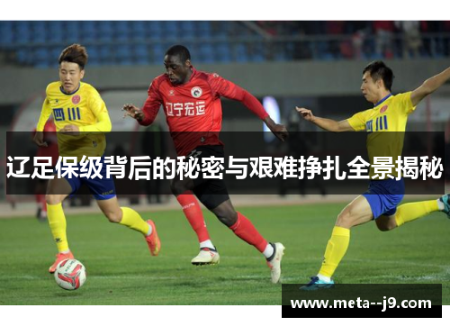 辽足保级背后的秘密与艰难挣扎全景揭秘