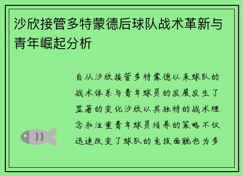 沙欣接管多特蒙德后球队战术革新与青年崛起分析 沙欣接管多特蒙德后球队战术革新与青年崛起分析